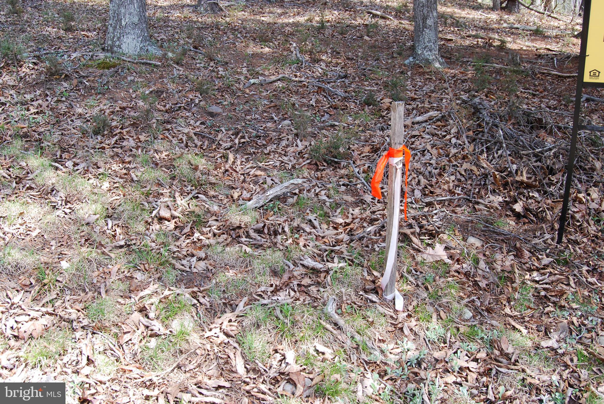 HARNEST HILLS - Land