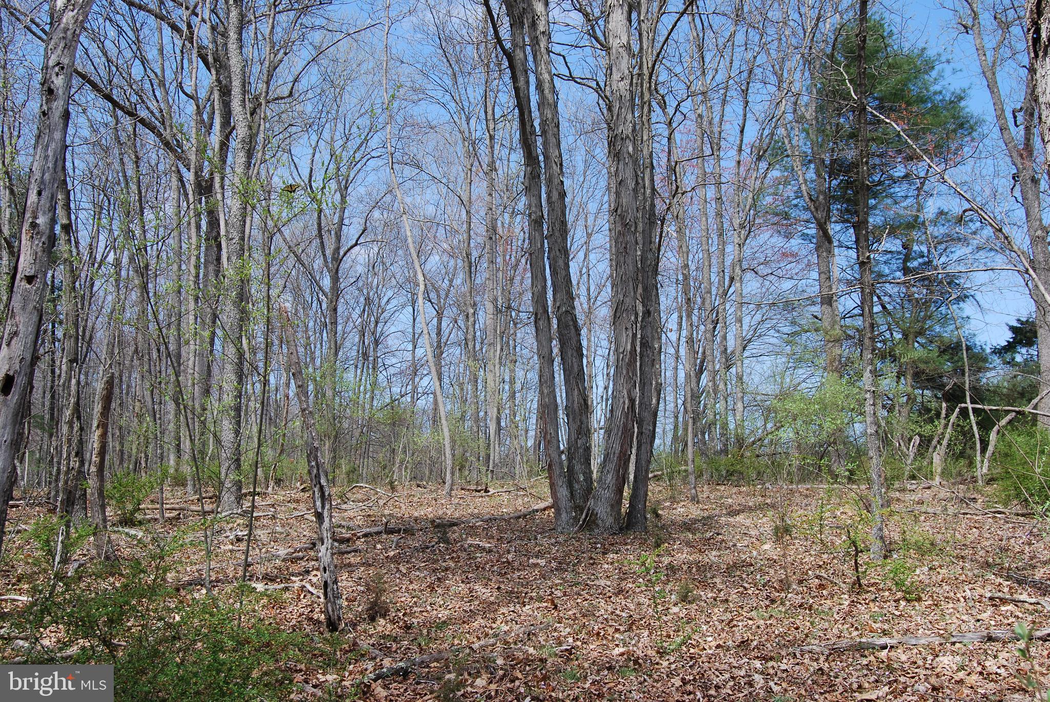 HARNEST HILLS - Land