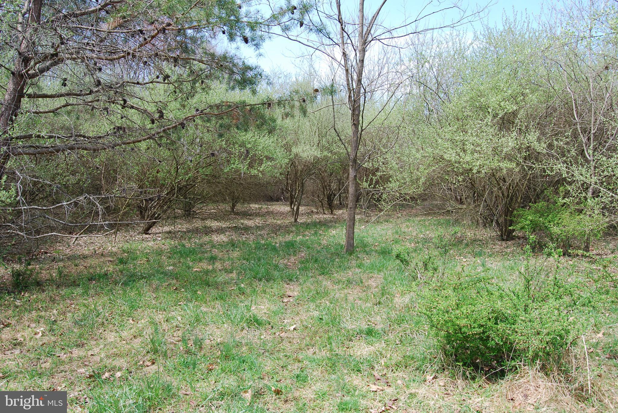 HARNEST HILLS - Land