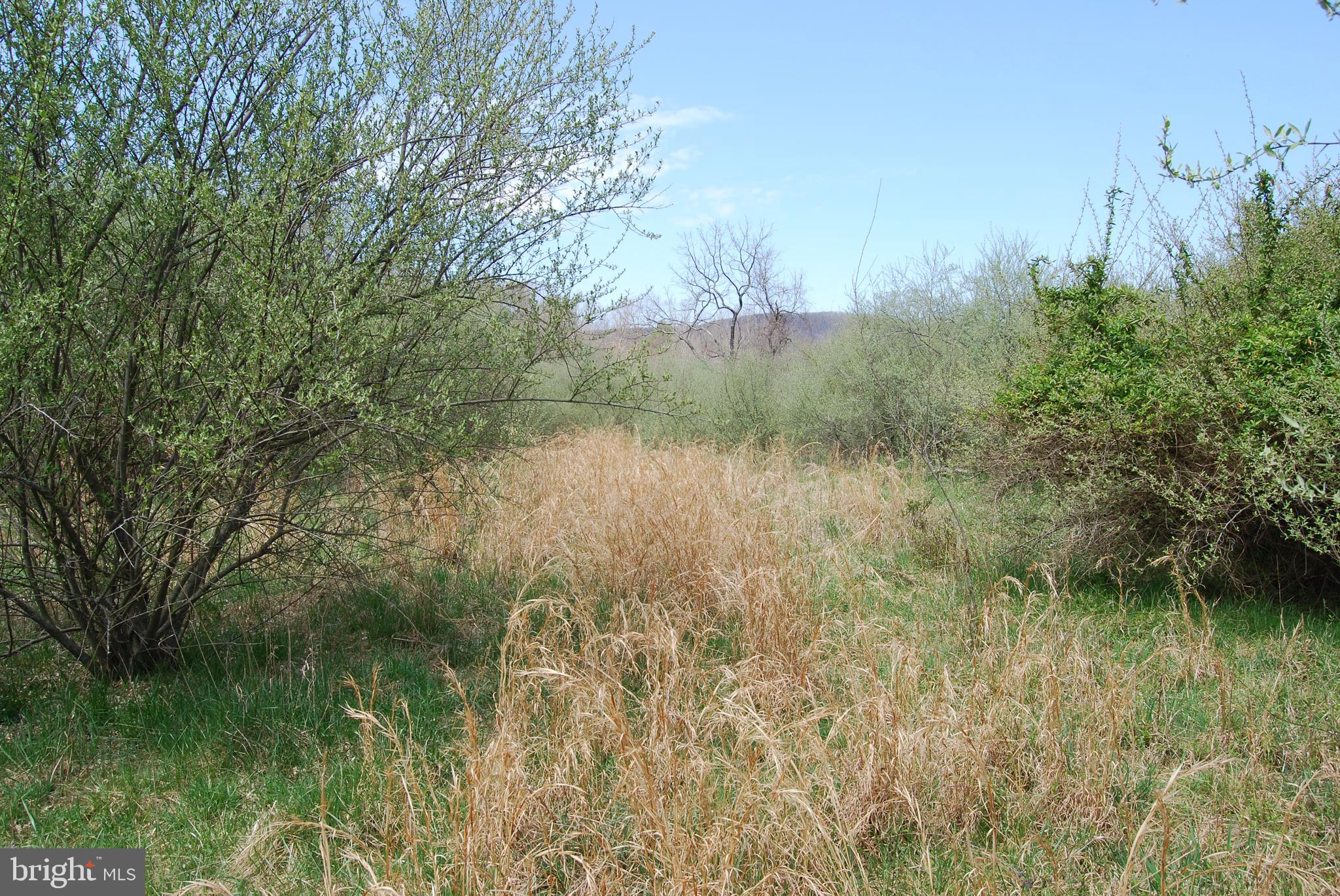 HARNEST HILLS - Land