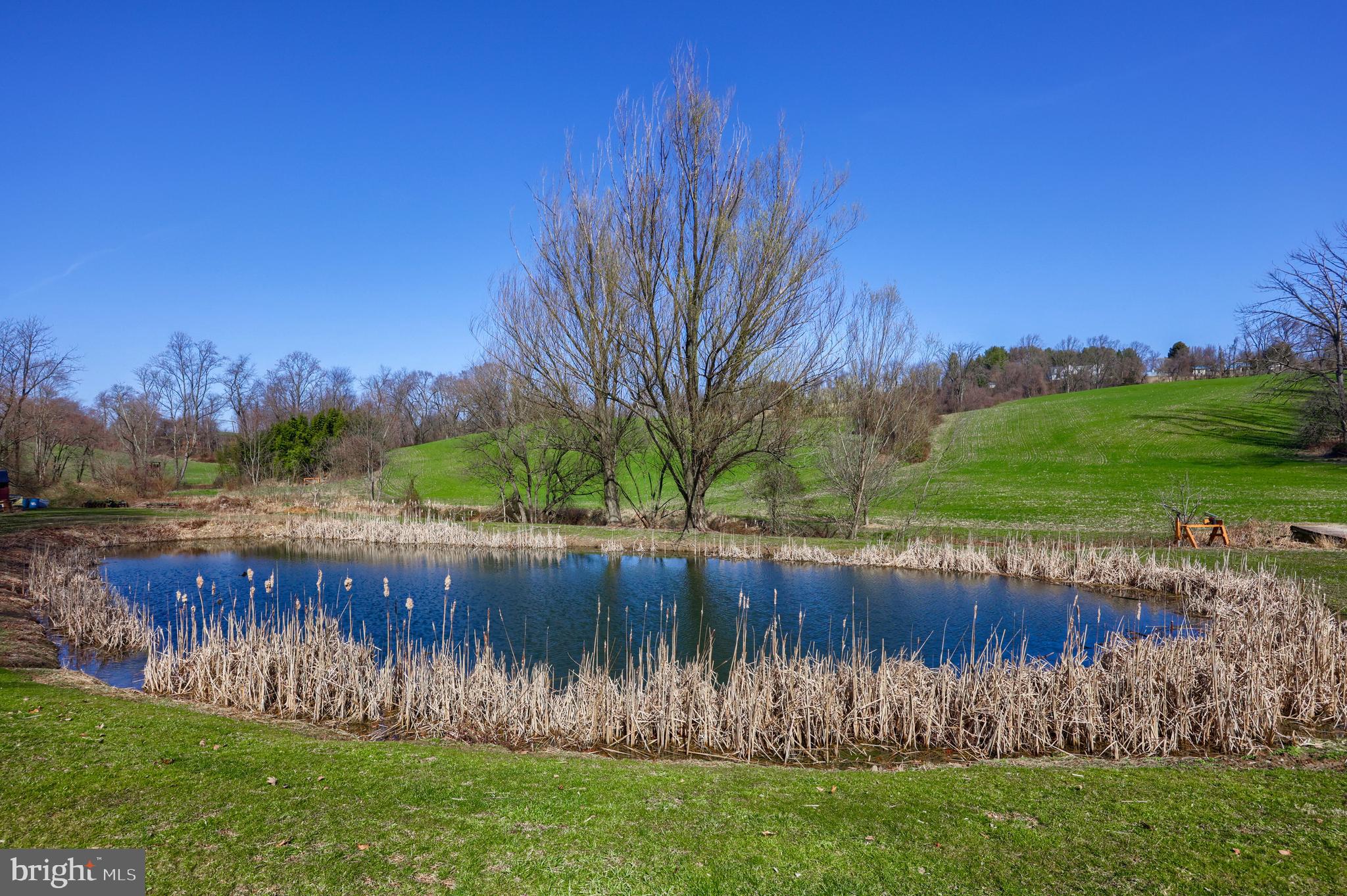 LOWER WINDSOR TWP - Residential