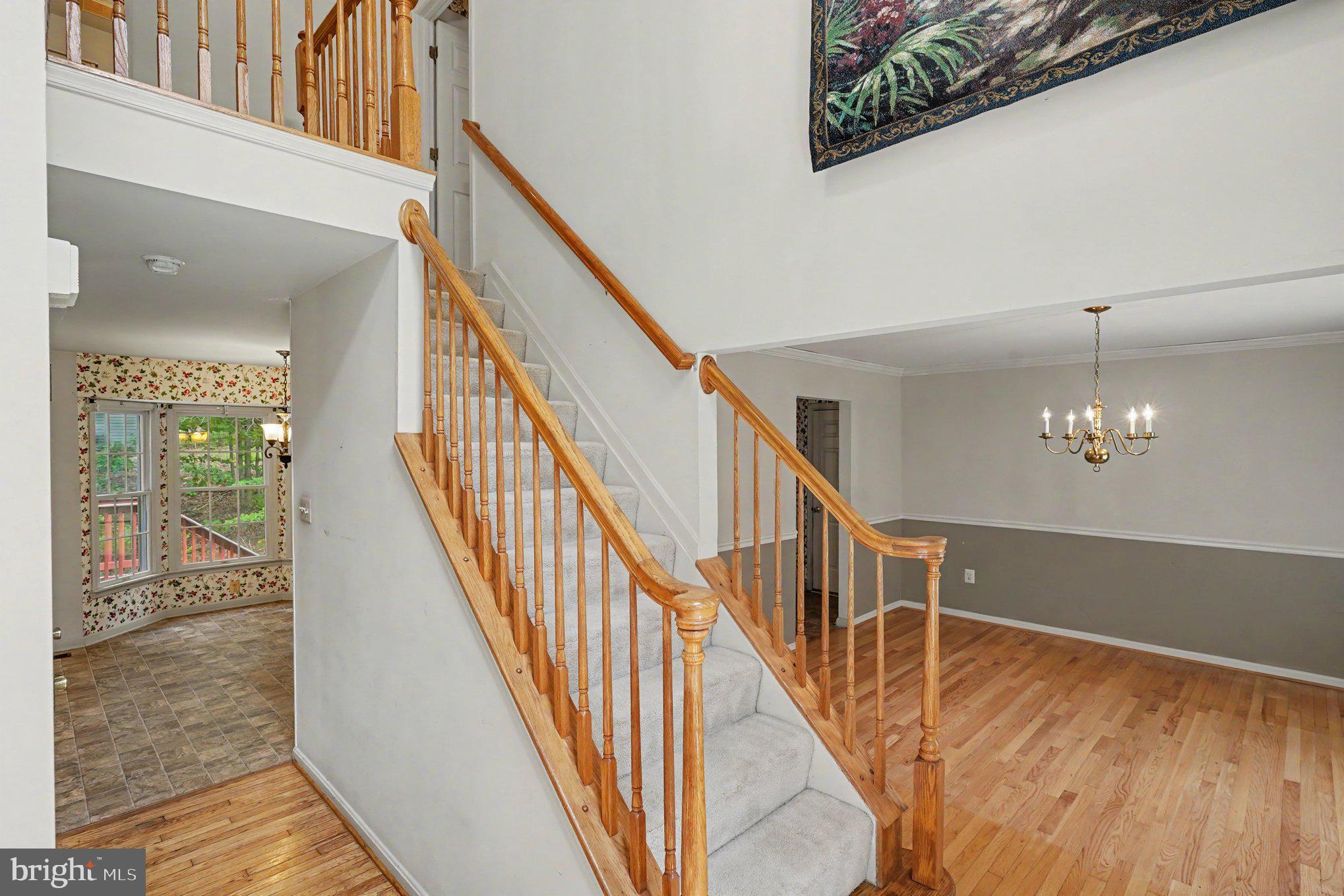 146 NICHOLAS DRIVE
