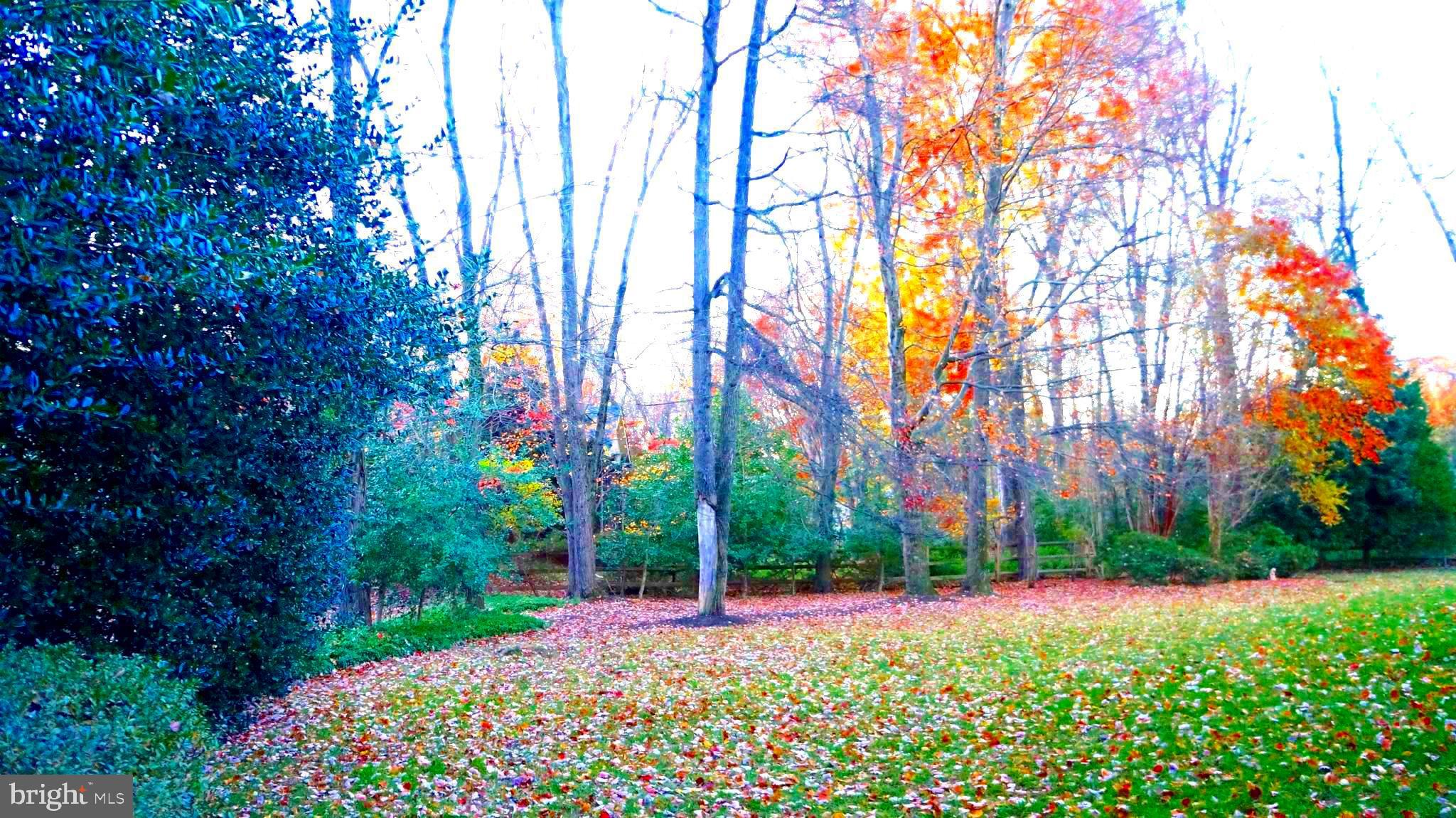 SUMMERWOOD - Residential