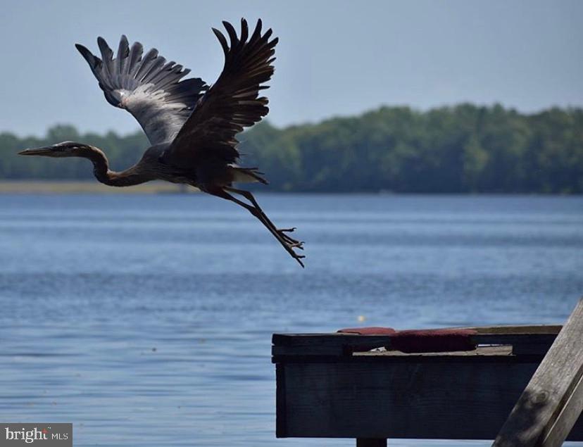 LAKE CAROLINE - Residential