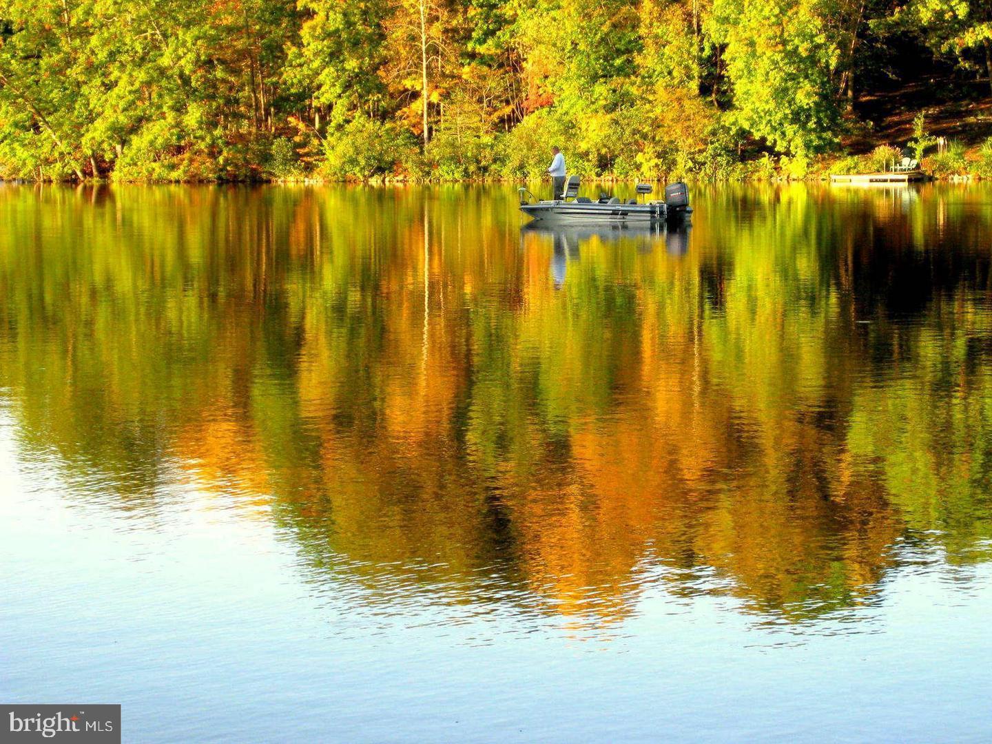 LAKE CAROLINE - Residential