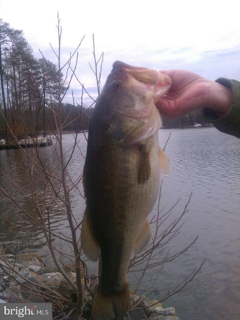 LAKE CAROLINE - Residential