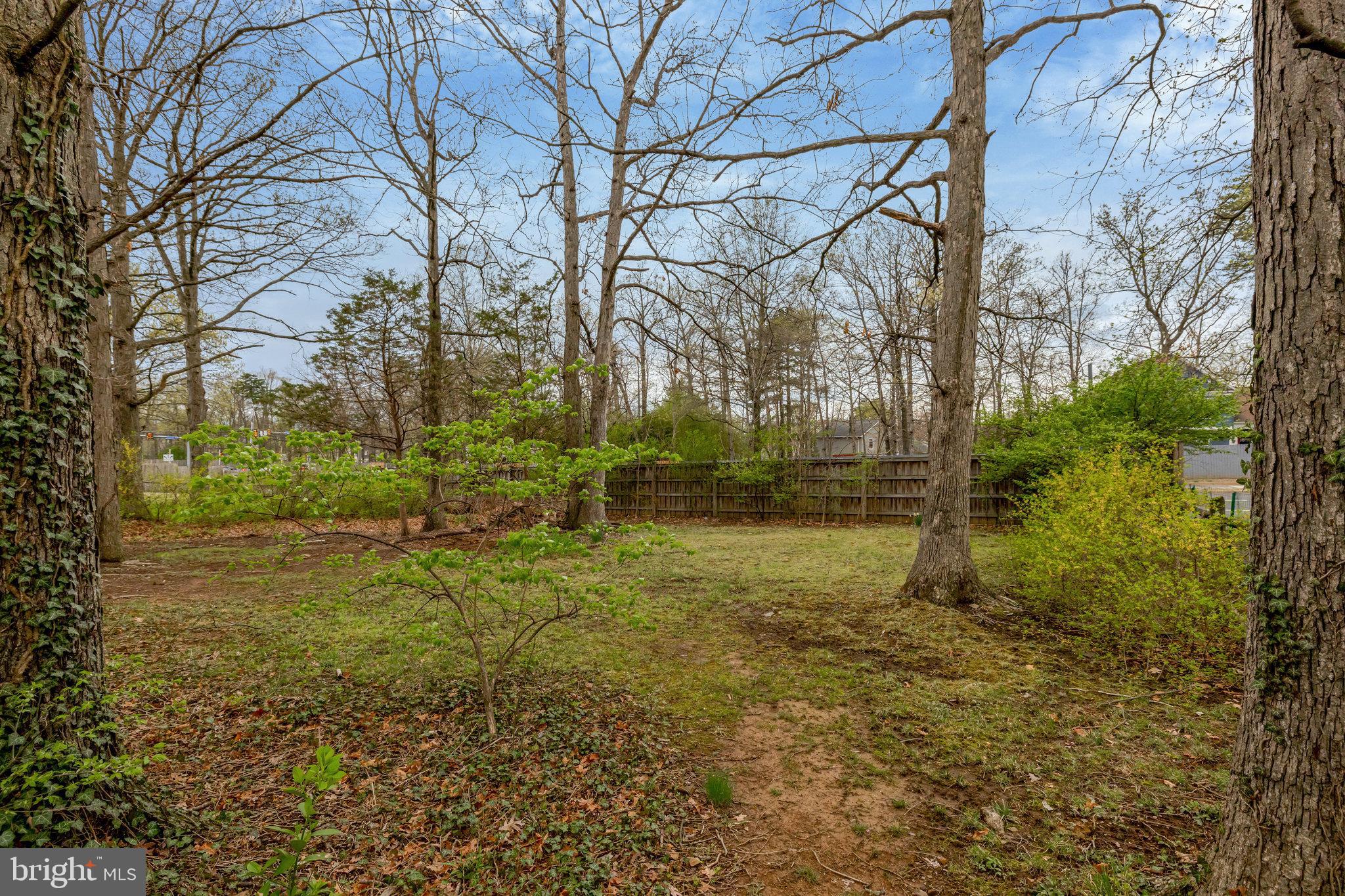 TREESIDE - Residential