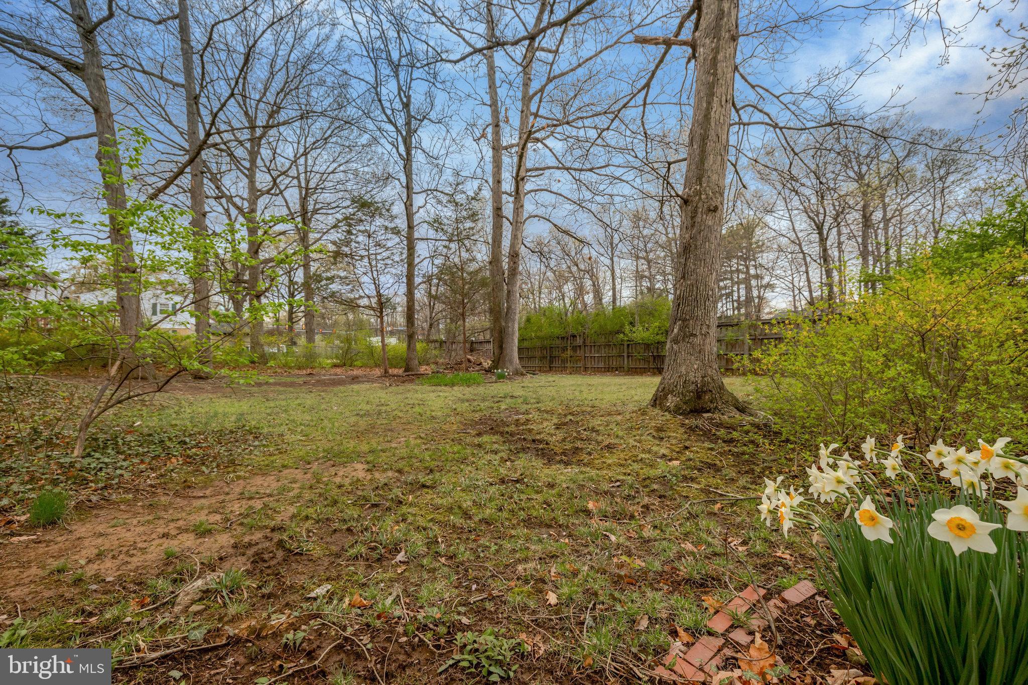 TREESIDE - Residential