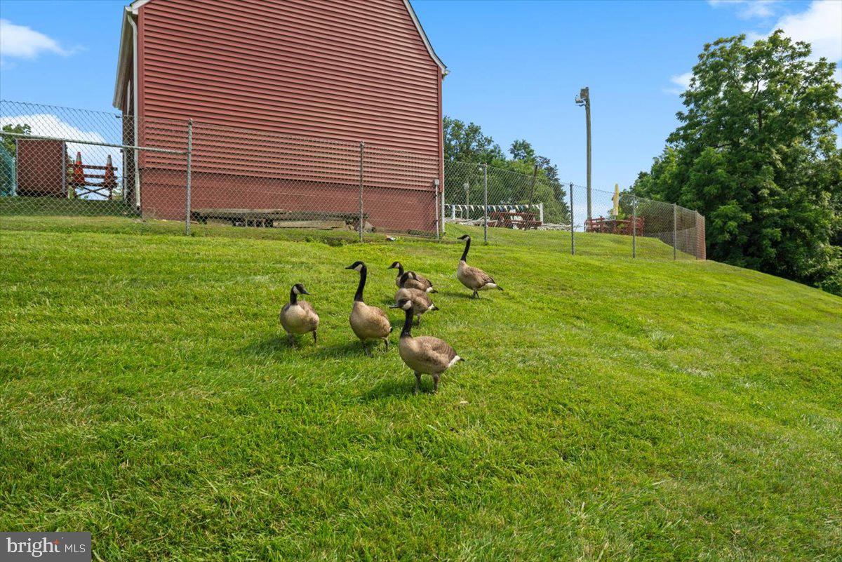 BOX HILL NORTH - Residential
