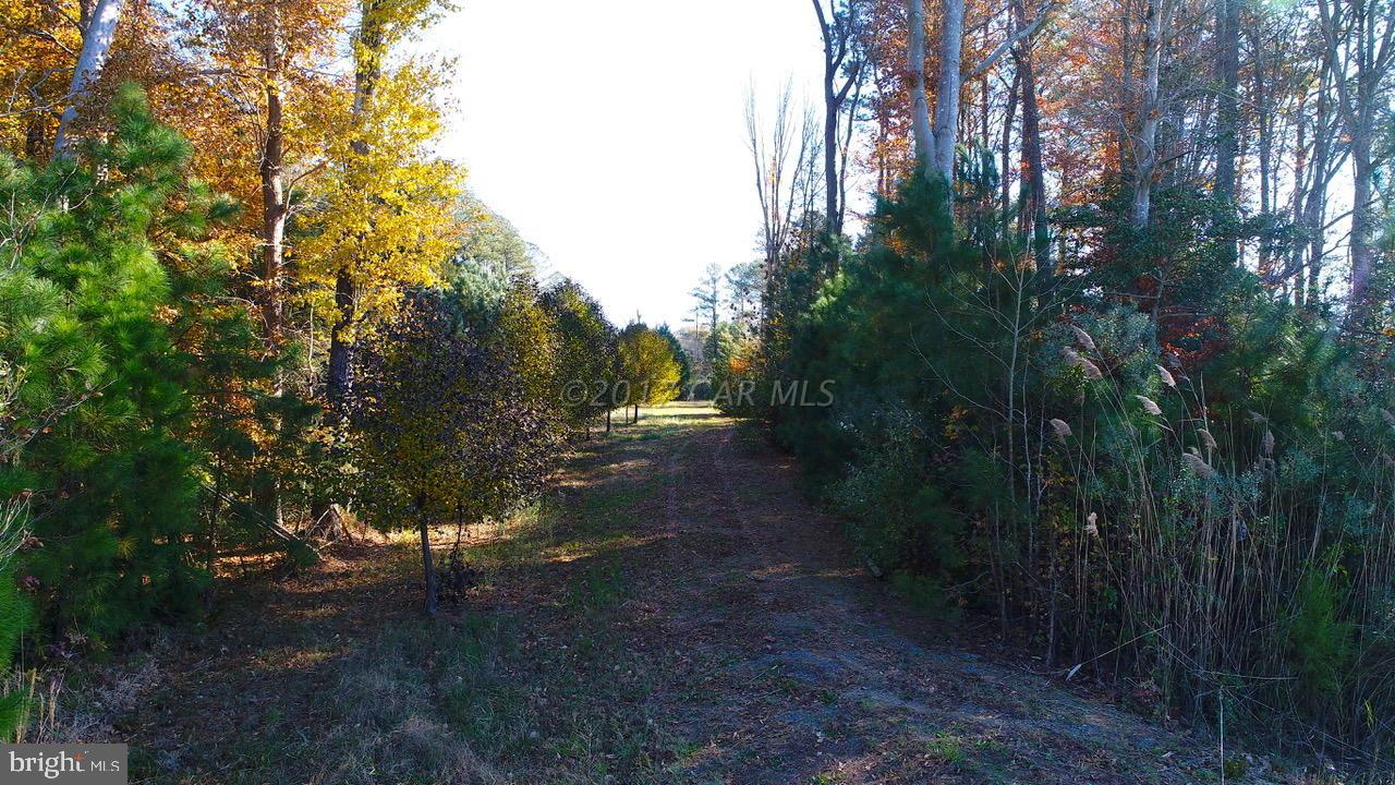 COVINGTON COVE - Land