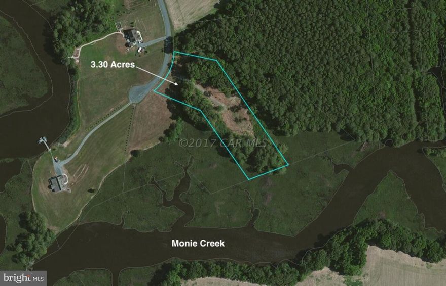 Come Build your Dream Home on this 3.3 Acre lot in the Pristine Covington Cove Development. Enjoy the Quiet Surroundings on this Partially Wooded Lot. Build a Pier Out to the Deep Water of Monie Creek and Enjoy the Perks of being a Resident in this Splendid Community including the Use of the Community Boat Ramp or Strolling Around the Fresh Water Pond that is close by. The Lot has already had the Home Site Cleared and a Substantial Roadway has already been put in place Saving a Great deal of Money on the Construction Process. The Lot has a Perc Test in Place with the County and recorded on a plat.  Located less than 20 minutes from South Salisbury and 40 minutes from Chincoteague. This Hidden Gem is still close enough to Work or Play Destinations. Come Take a Look and Make Your Dreams Come True