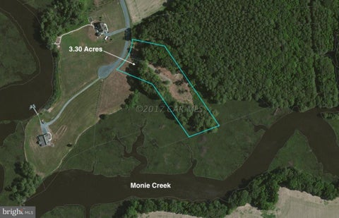 Vacant Land For Sale - 12485 Mallard Lane<br/> Somerset County, PRINCESS ANNE, MD 21853