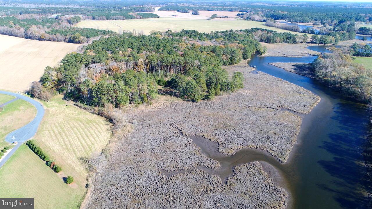 COVINGTON COVE - Land