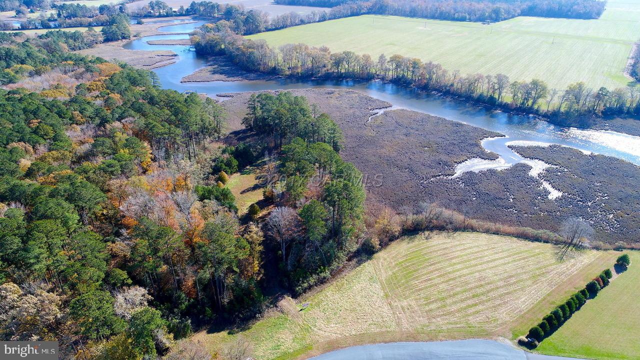 COVINGTON COVE - Land