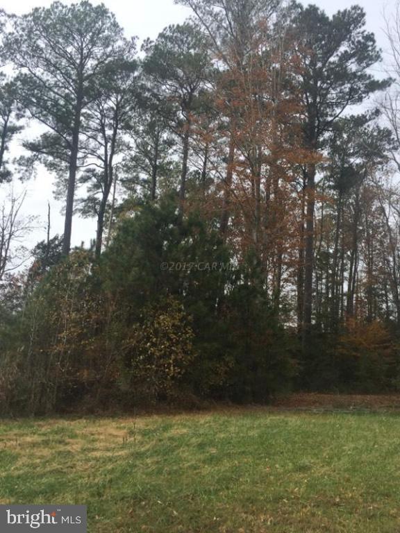 COVINGTON COVE - Land