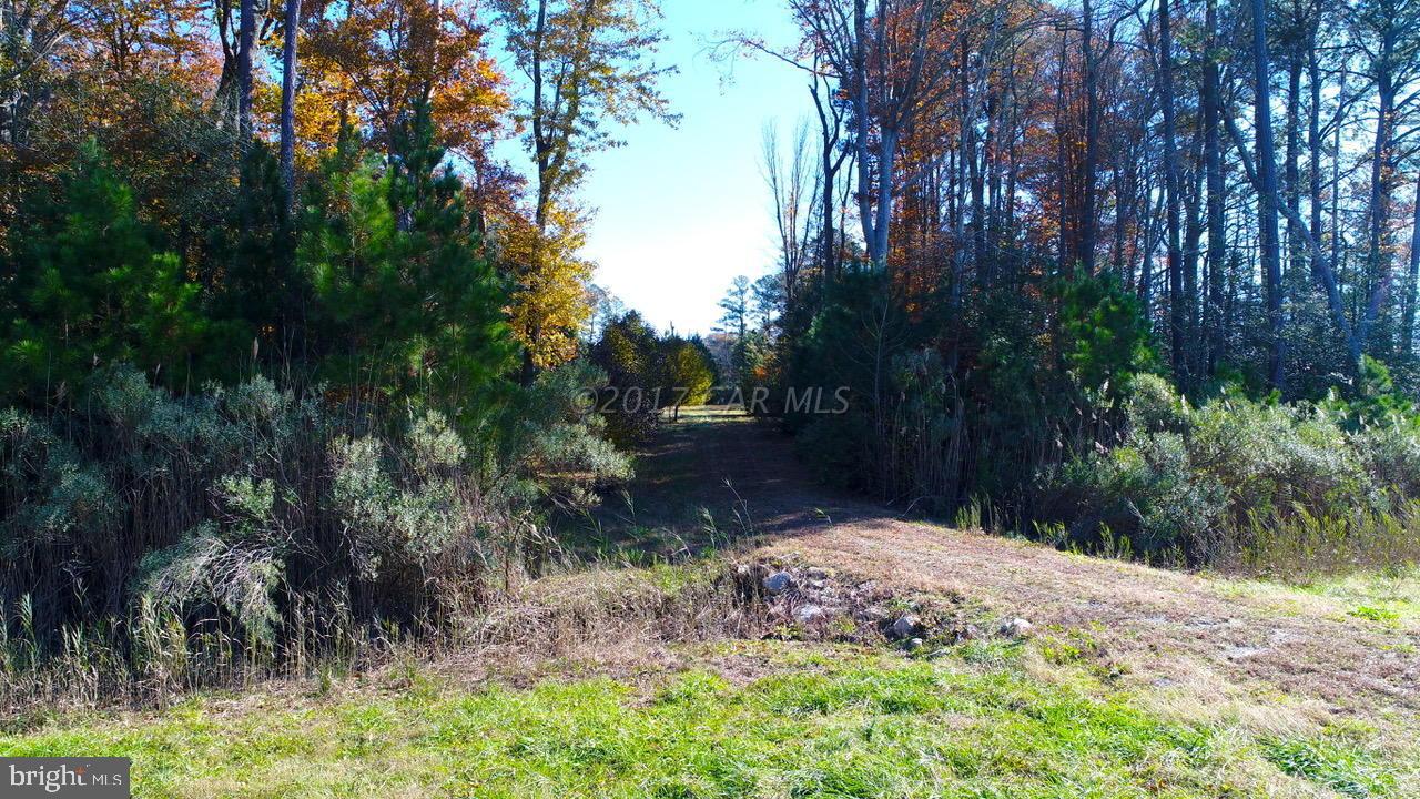 COVINGTON COVE - Land