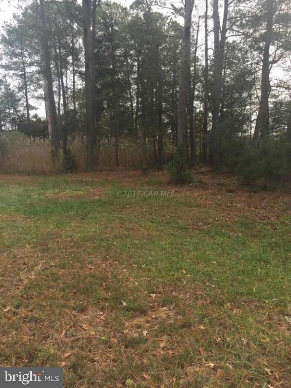 COVINGTON COVE - Land