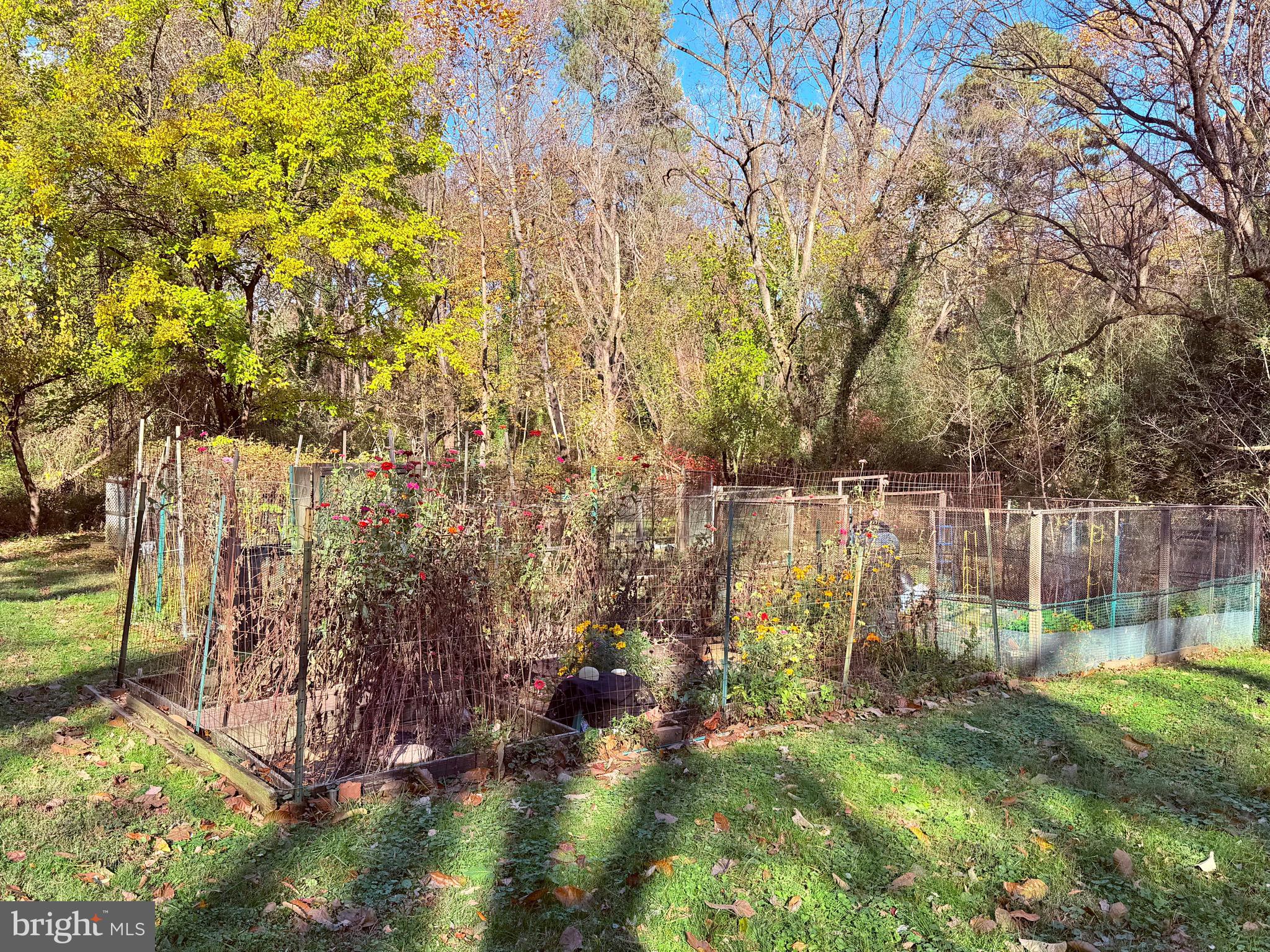 WESTMORELAND SQUARE - Residential