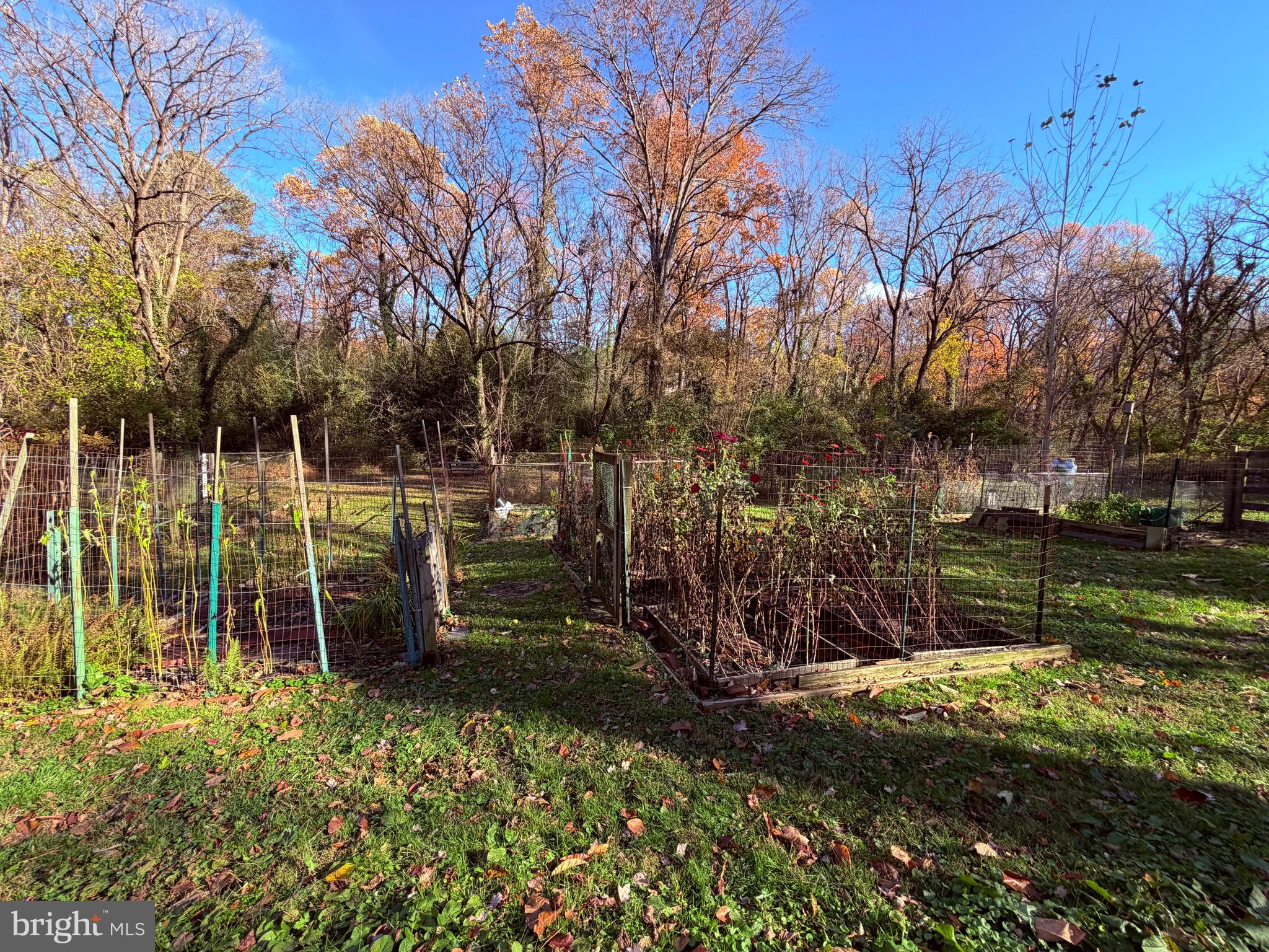 WESTMORELAND SQUARE - Residential