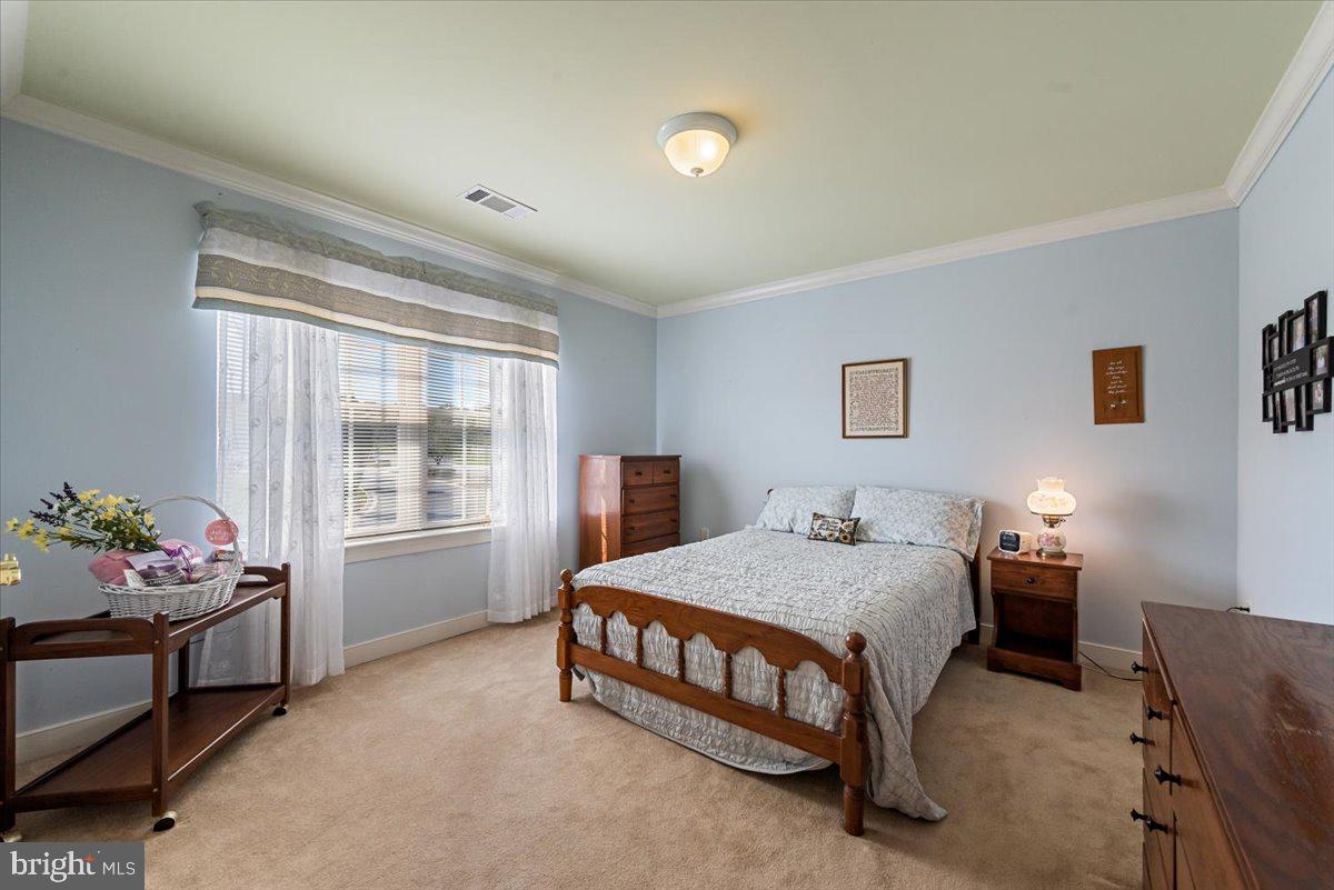 SHENANDOAH SPRINGS - Residential