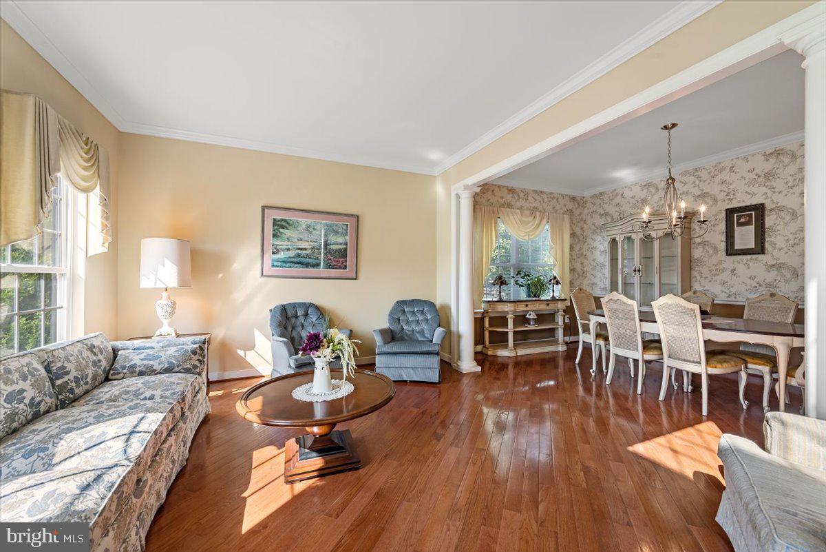 SHENANDOAH SPRINGS - Residential