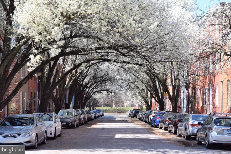 Well maintained and updated 3 story row home in Ridgely's Delight!  This property is a great investment & sets up perfectly for roommates or a growing family.  Enjoy a safe, quiet and historic neighborhood with wide tree-lined street.  3 car parking pad!  This is an extremely convenient location, 1 minute to I-95, steps from Oriole Park at Camden Yards, M&T Bank Stadium, 7 minute walk to UMD and 15 minute walk to the inner harbor.   The 600 block of S Paca is adjacent to a park which makes it ideal for pet owners!   Enjoy the spacious backyard with a picnic area, a south facing garden & 3 car off street parking pad plus overflow lot.  The kitchen has been updated with granite counters, custom backsplash and stainless steel appliances.  Other updates include  water heater (2018), and HVAC (2019).    There is separate access to the clean unfinished basement perfect for storage or hobbies.