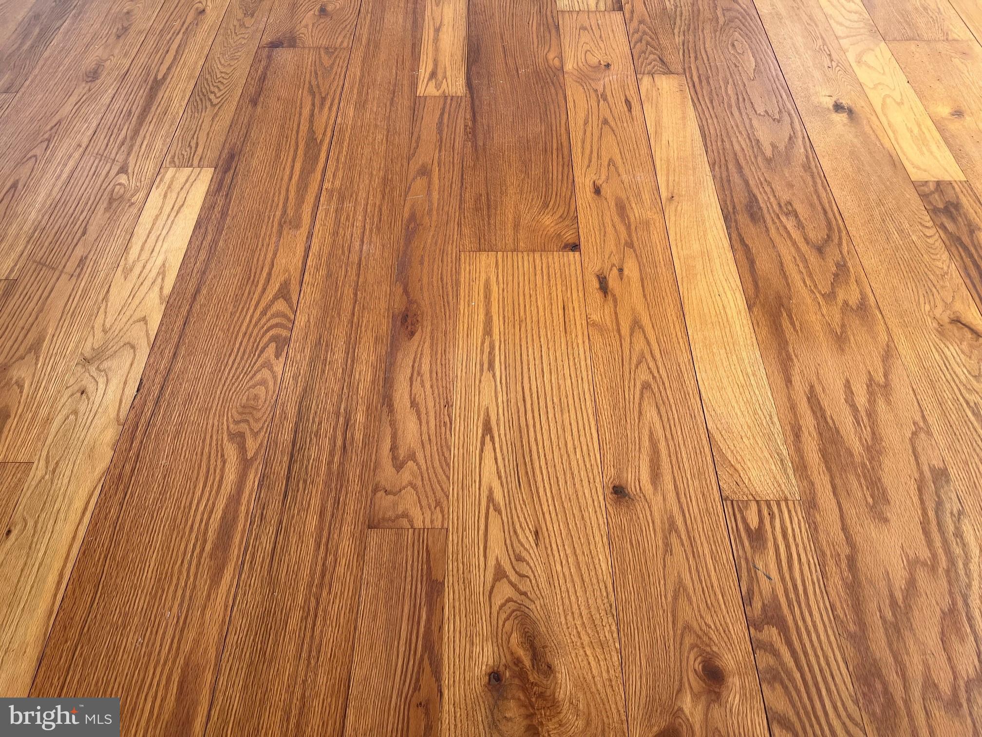 TUNIS MILLS - Residential Lease