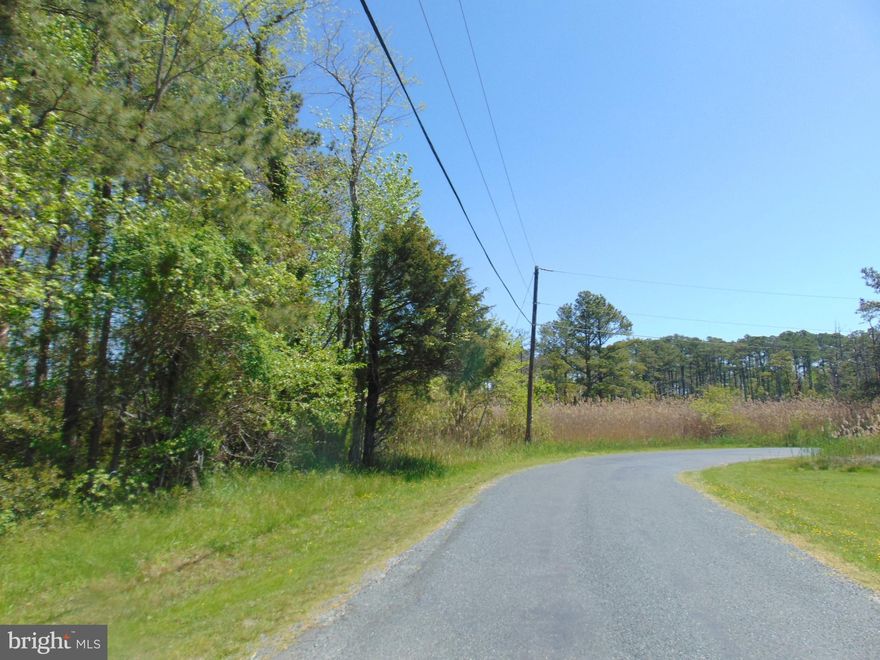REDUCED 20K from original price. Build your dream home on this 3.06 acre property loacated only a short distance from the Tangier Sound. This lot has been perc and approved and ready to build on. Located in the quaint little village of Dames Quarter. The boat dock is just a mile away.  The State Refuge is only 1/2 mile away. Property fronts on both  Hodson White and McInturff RD.