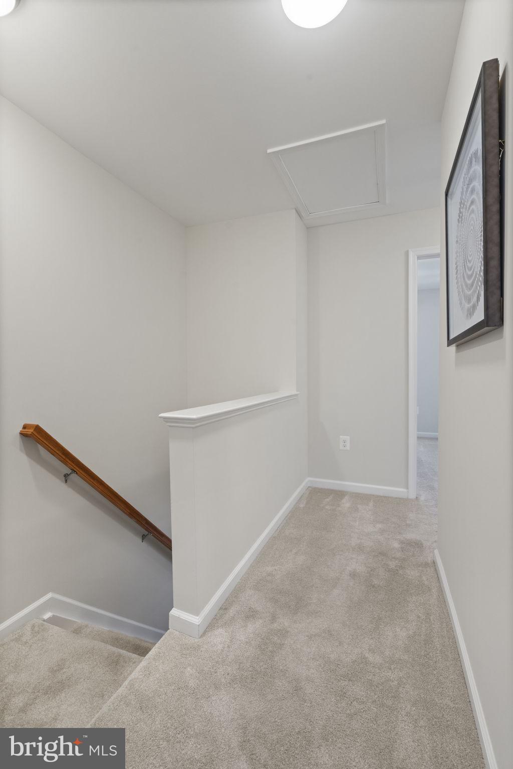 PARADISE - Residential