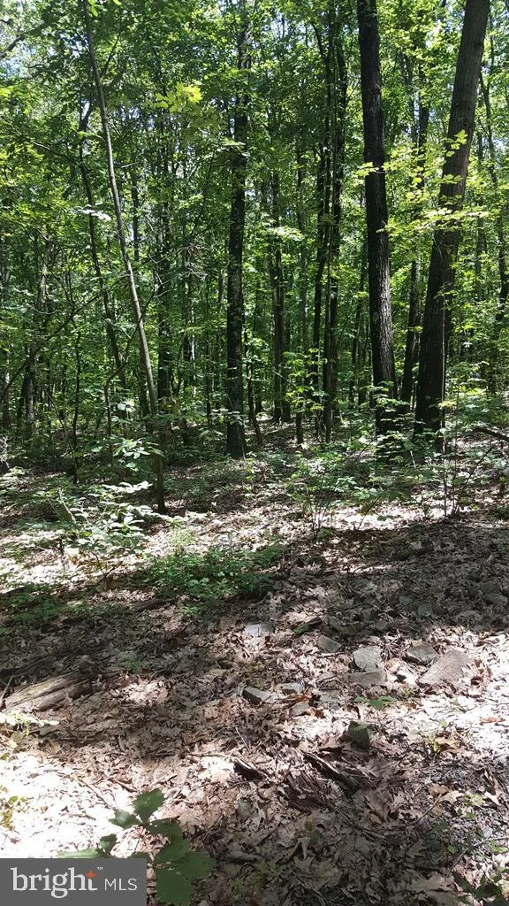 4193 Erly Road, Elliotsburg, PA 17024