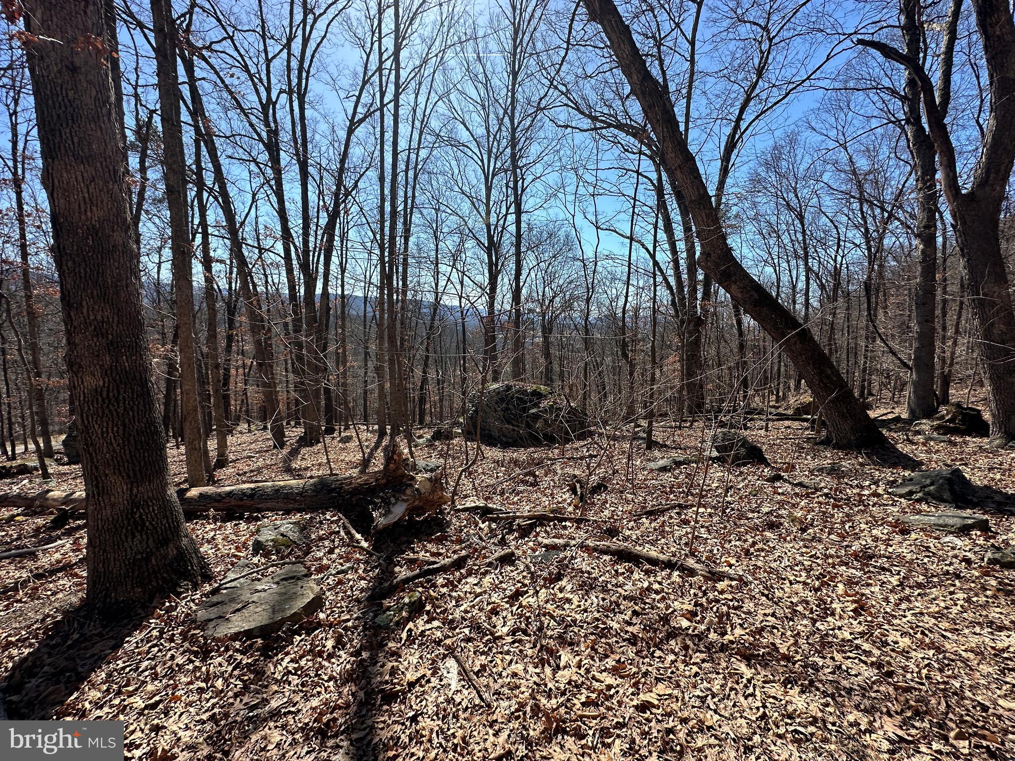 TROUGH OVERLOOK - Land