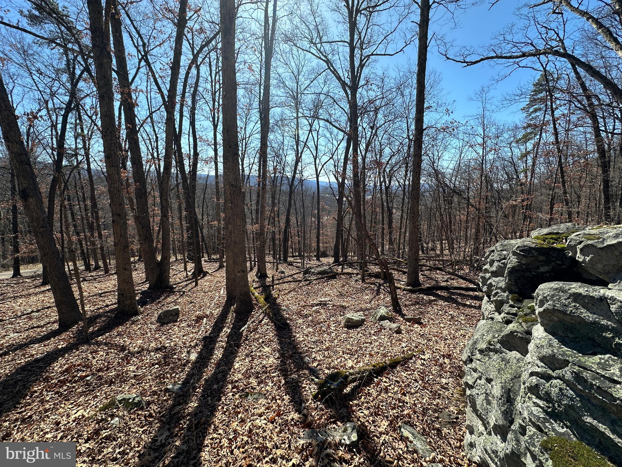 TROUGH OVERLOOK - Land