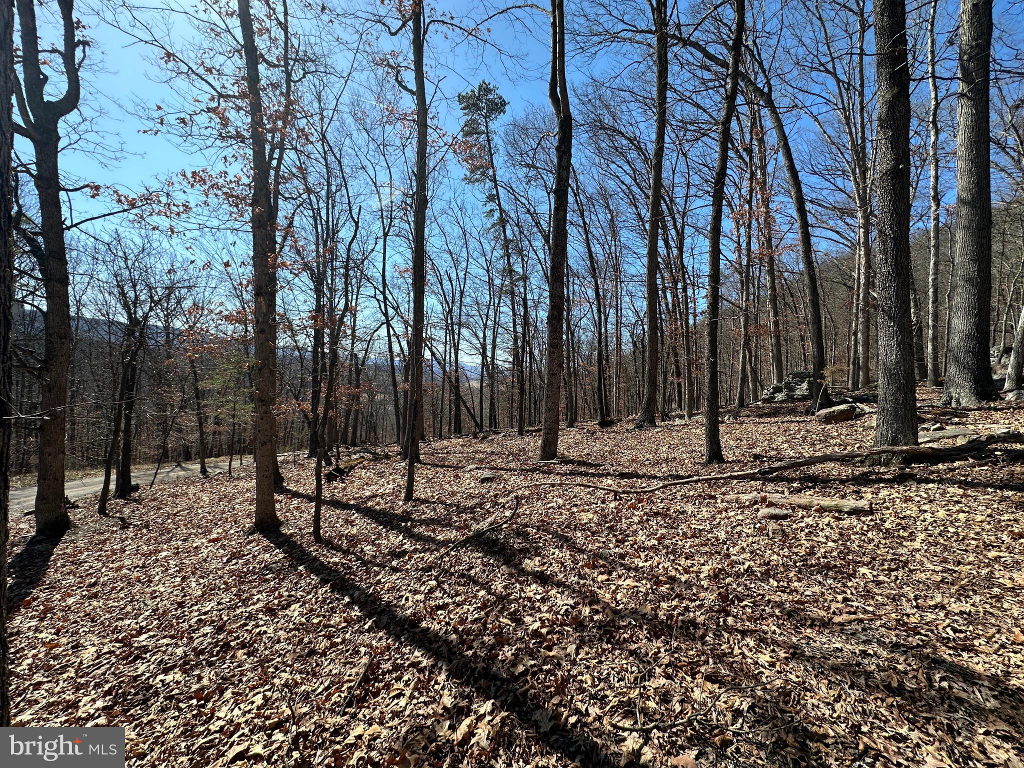 TROUGH OVERLOOK - Land