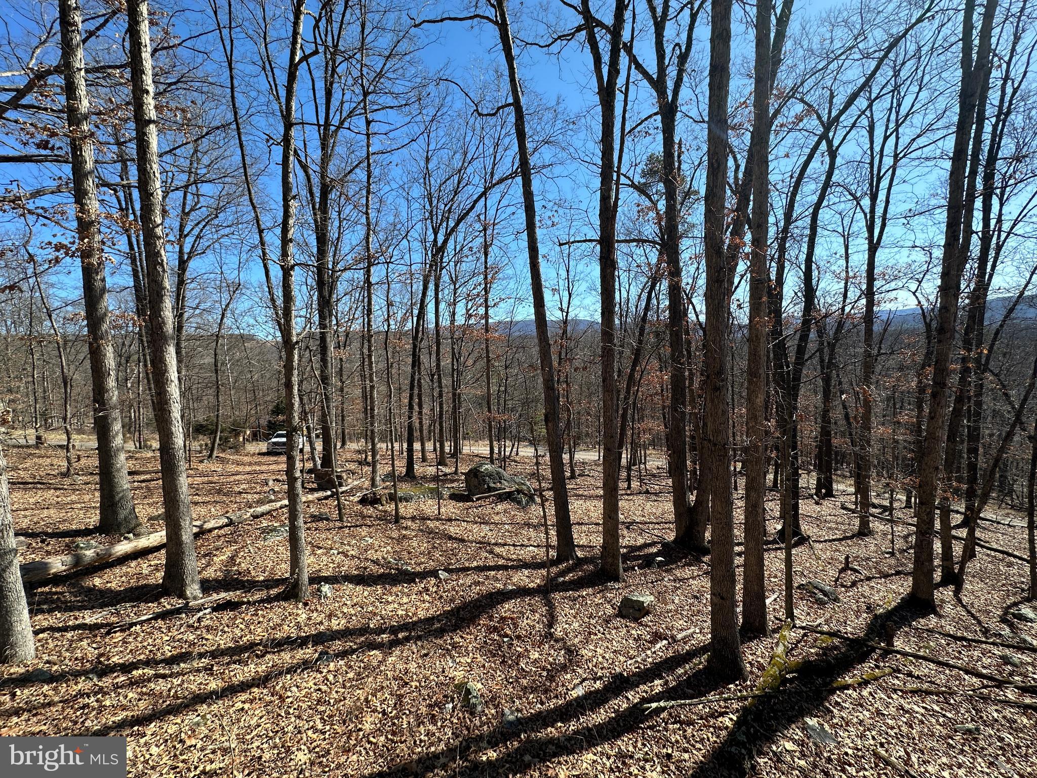TROUGH OVERLOOK - Land