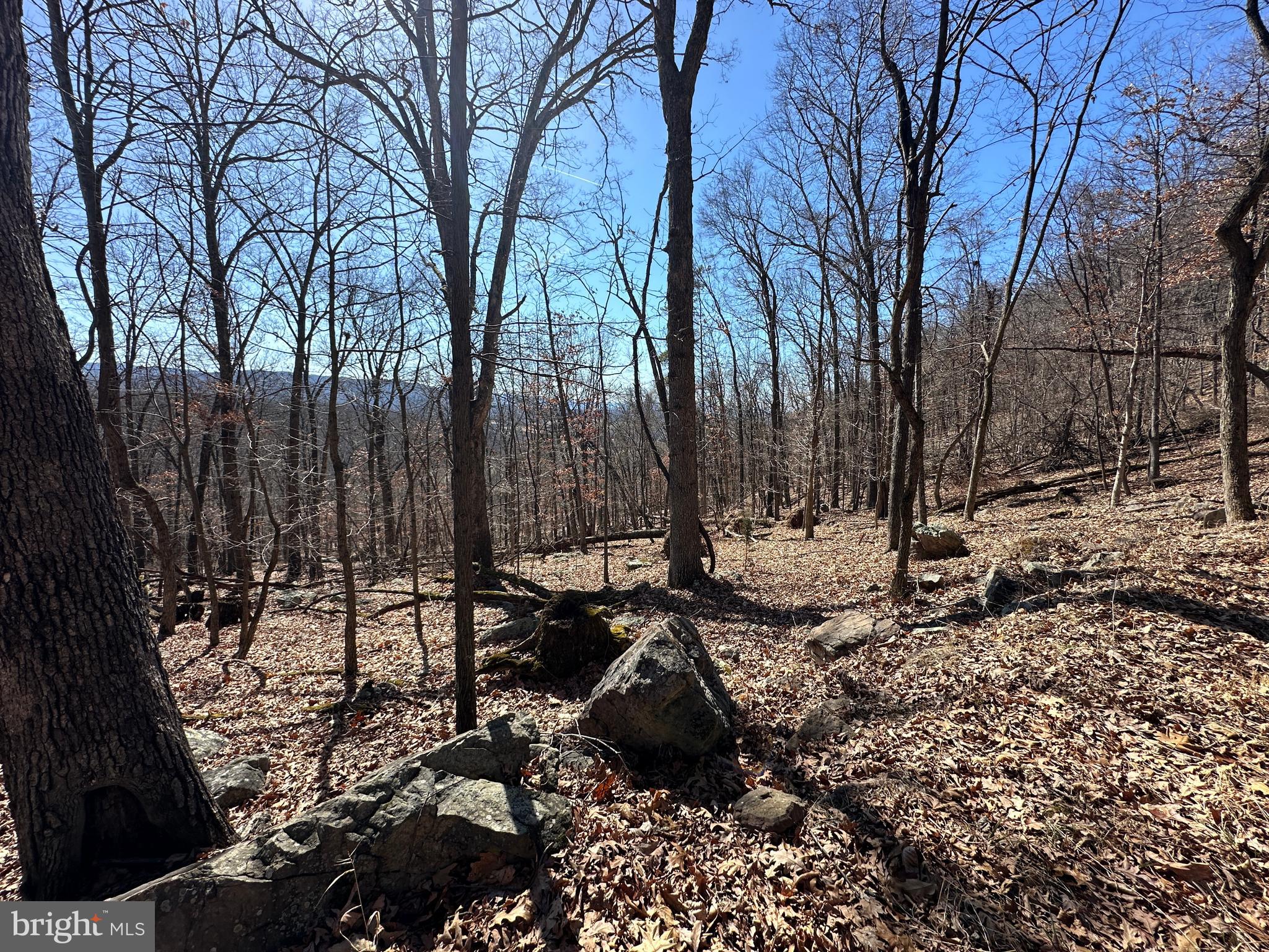 TROUGH OVERLOOK - Land