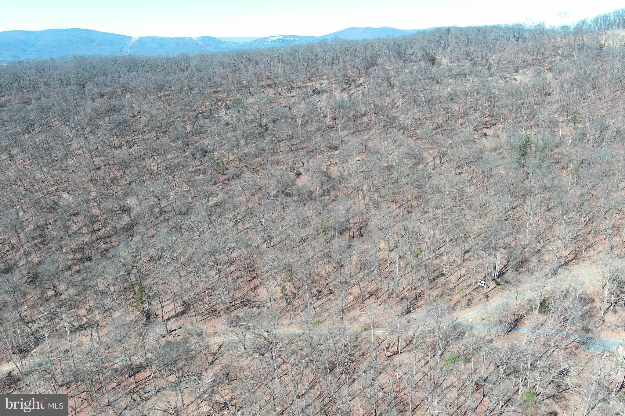 TROUGH OVERLOOK - Land