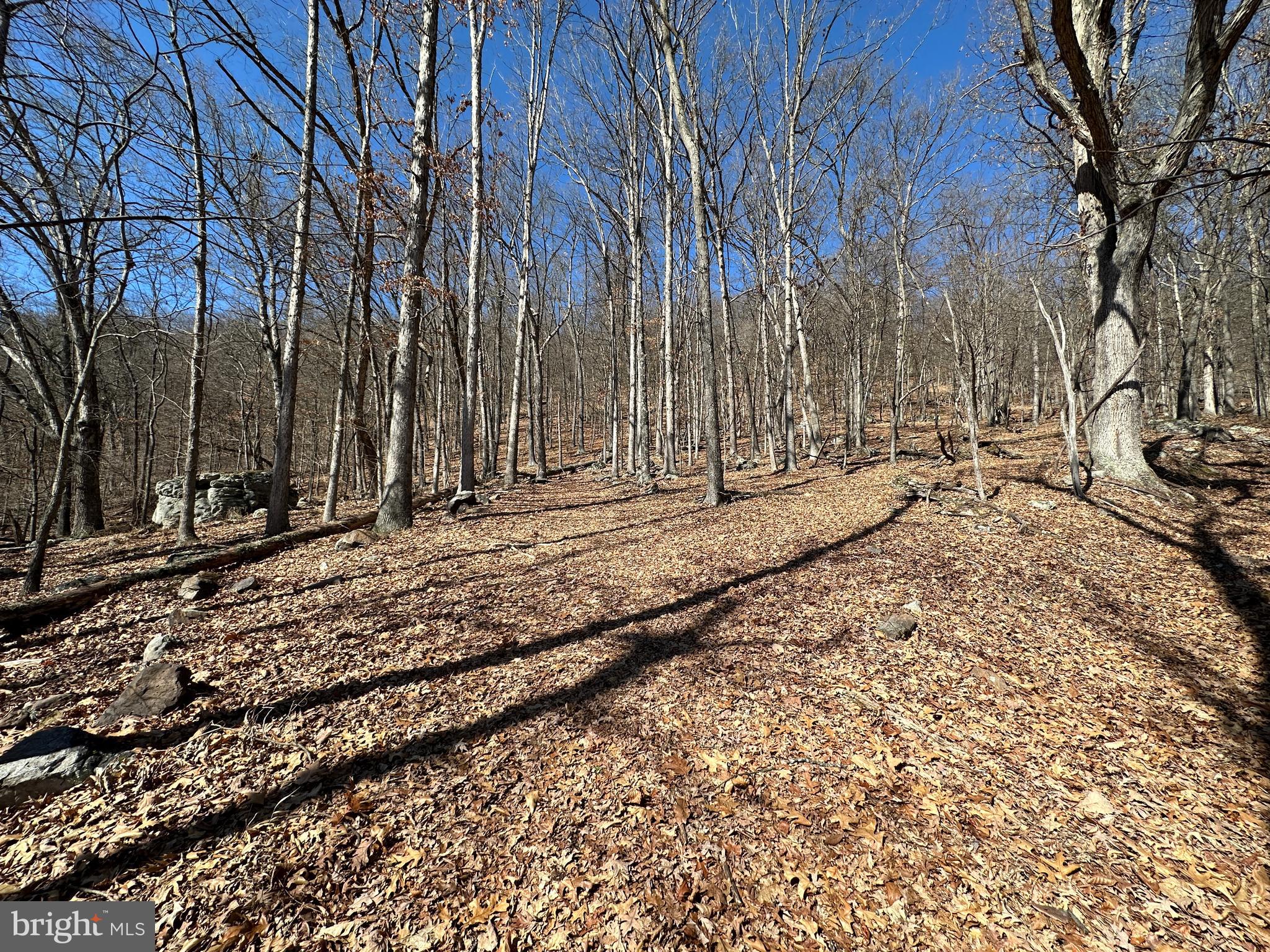 TROUGH OVERLOOK - Land
