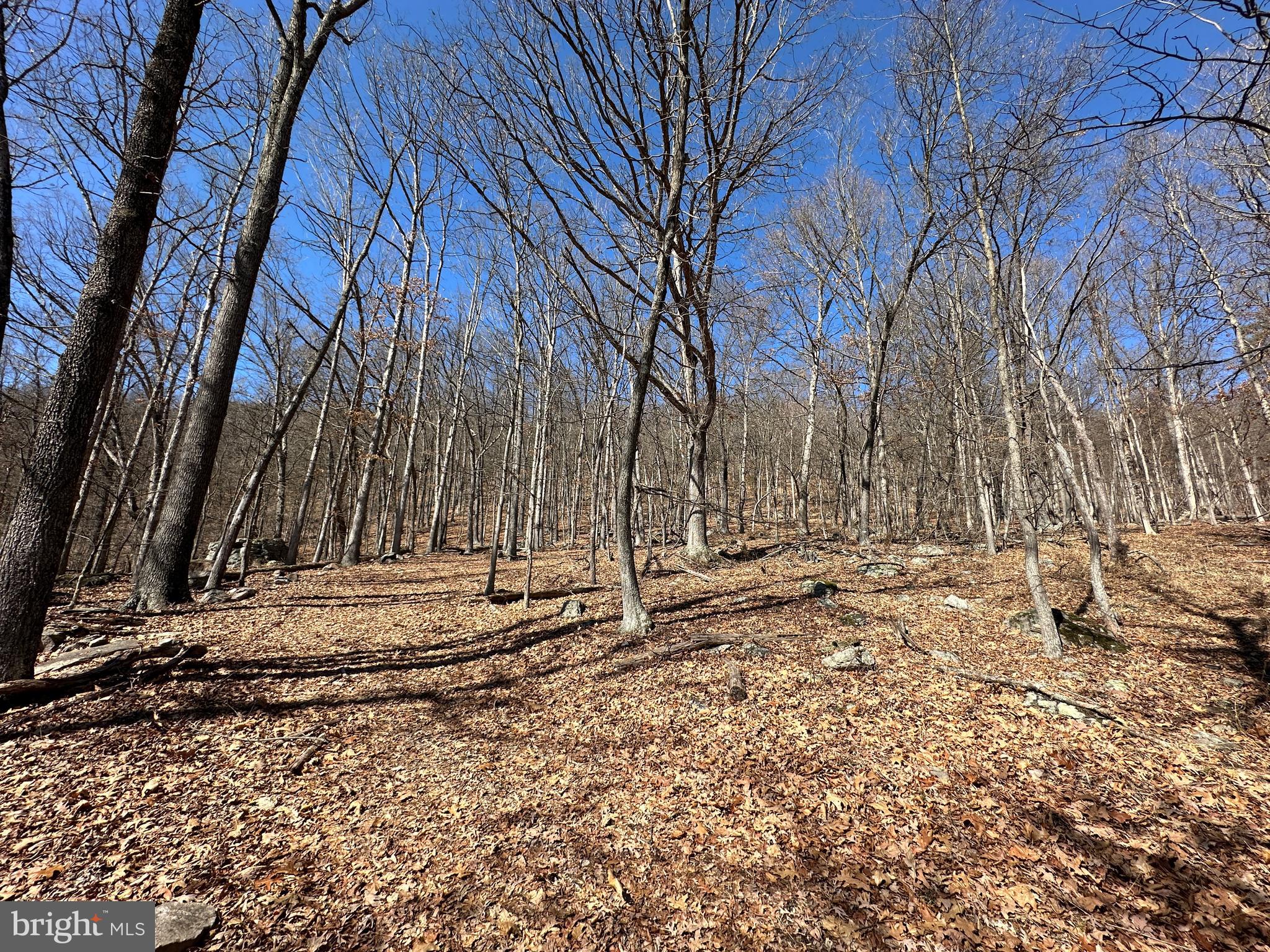TROUGH OVERLOOK - Land