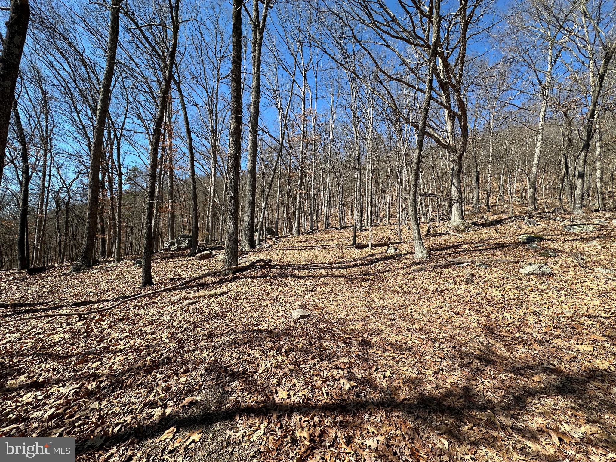 TROUGH OVERLOOK - Land