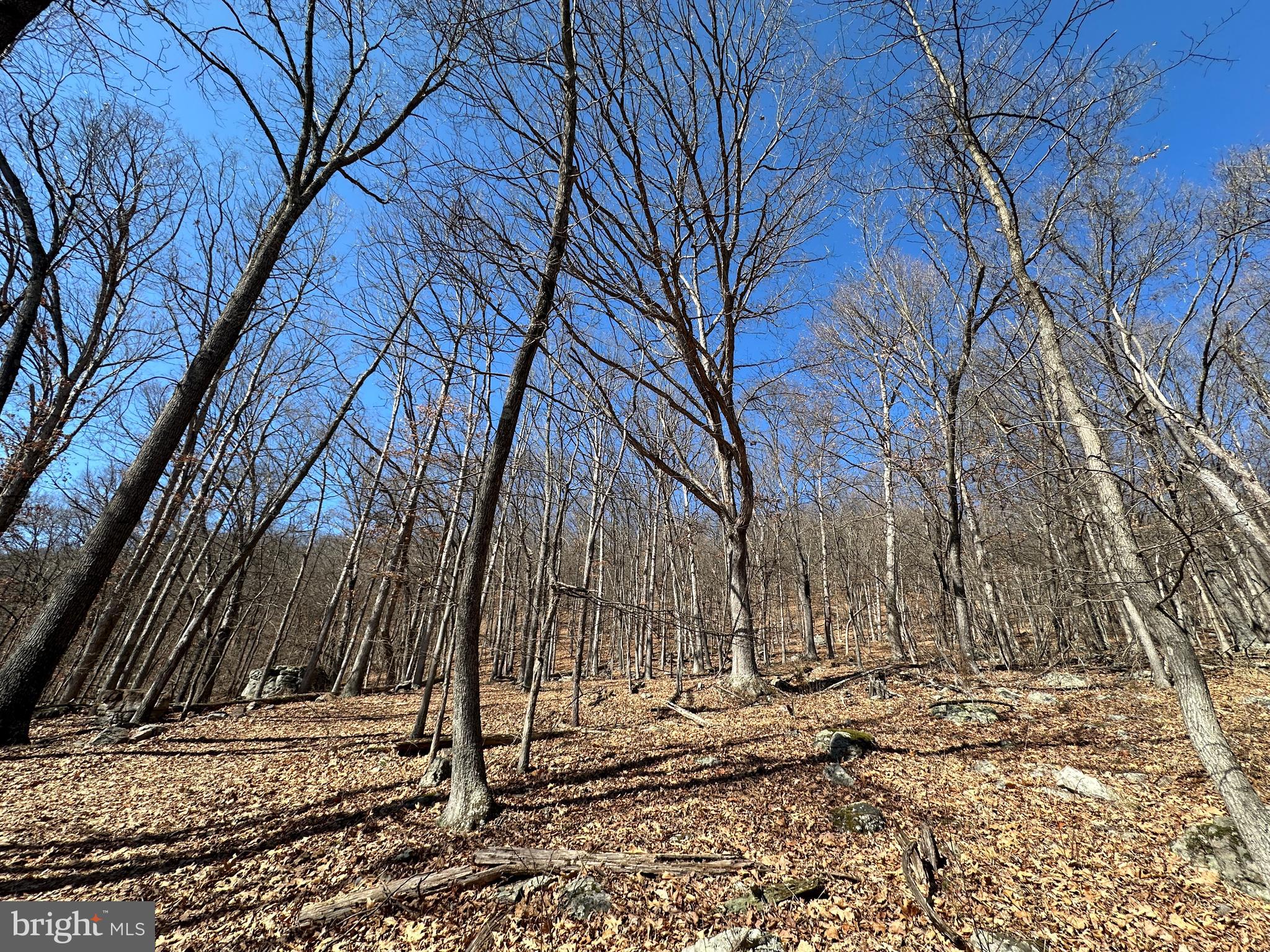 TROUGH OVERLOOK - Land
