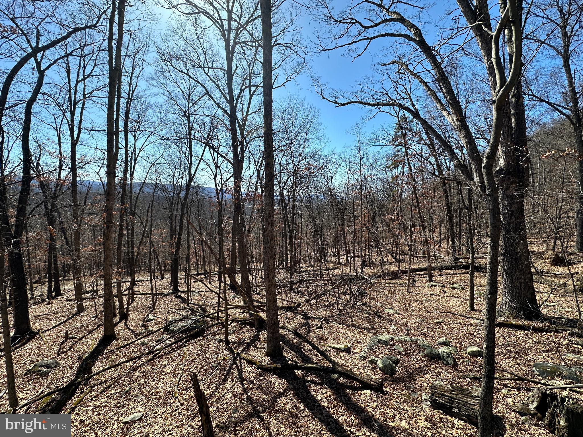 TROUGH OVERLOOK - Land