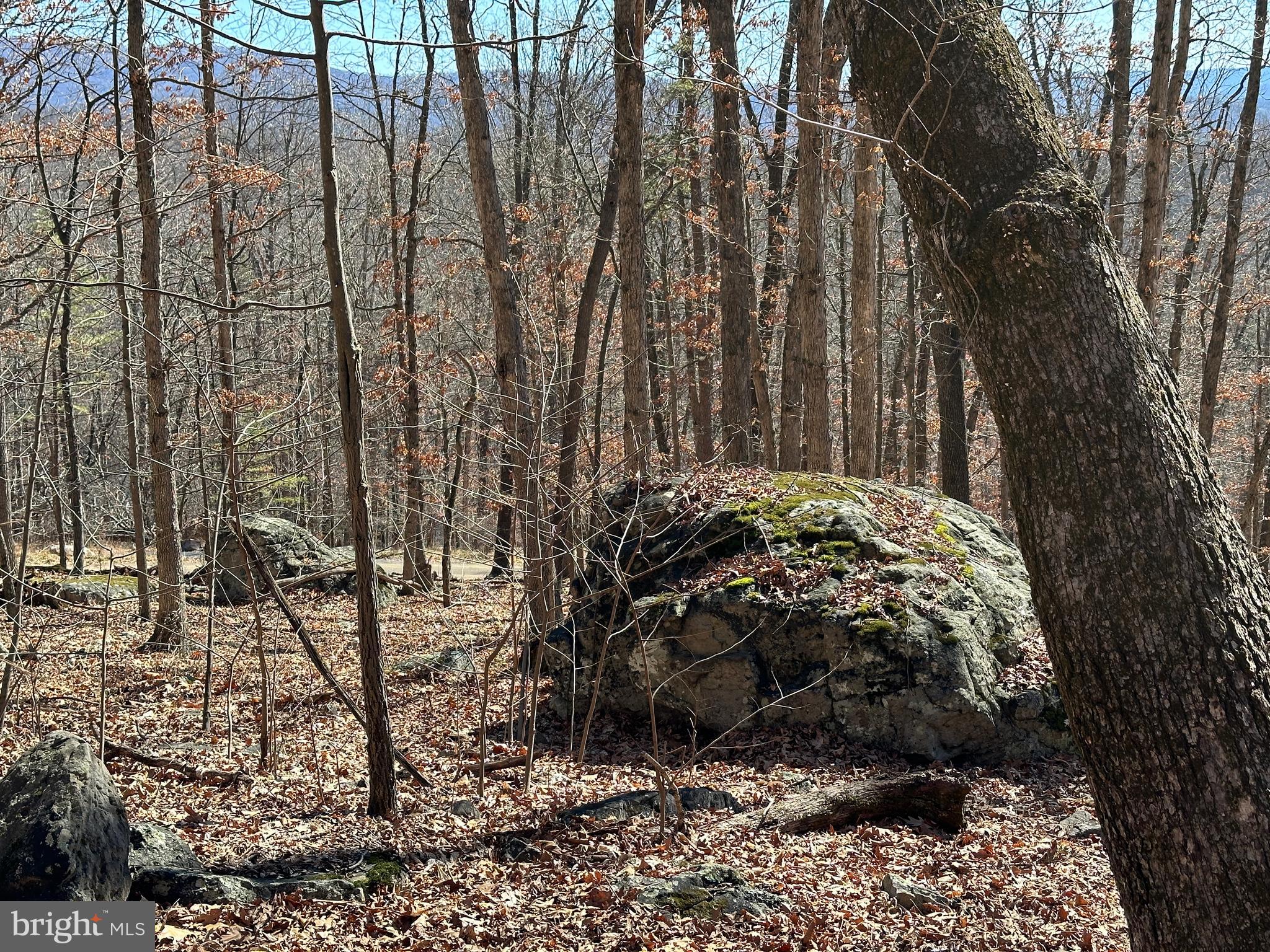 TROUGH OVERLOOK - Land