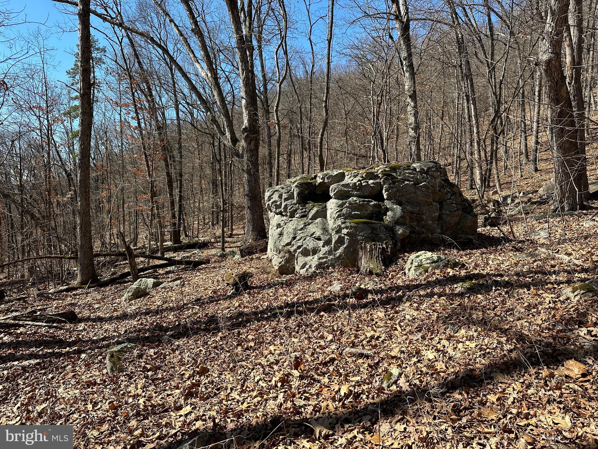 TROUGH OVERLOOK - Land
