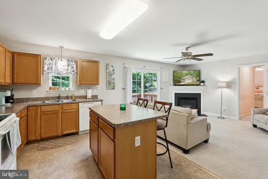 PRESIDENTIAL LAKES - Residential