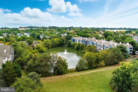 14313 CLIMBING ROSE WAY 105 CENTREVILLE VA 20121