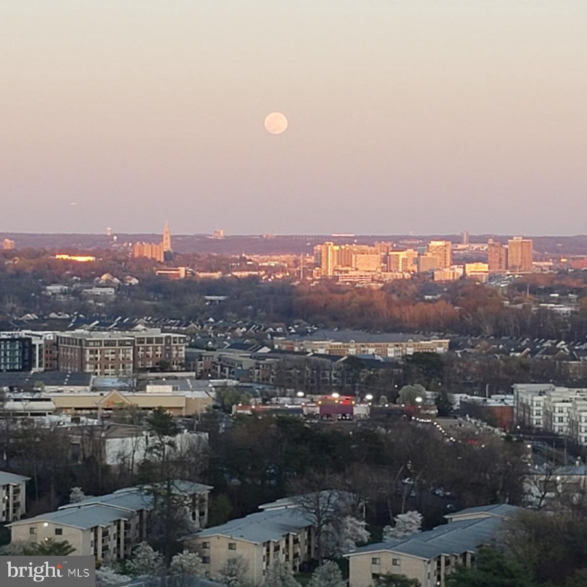 WATERGATE AT LANDMARK - Residential