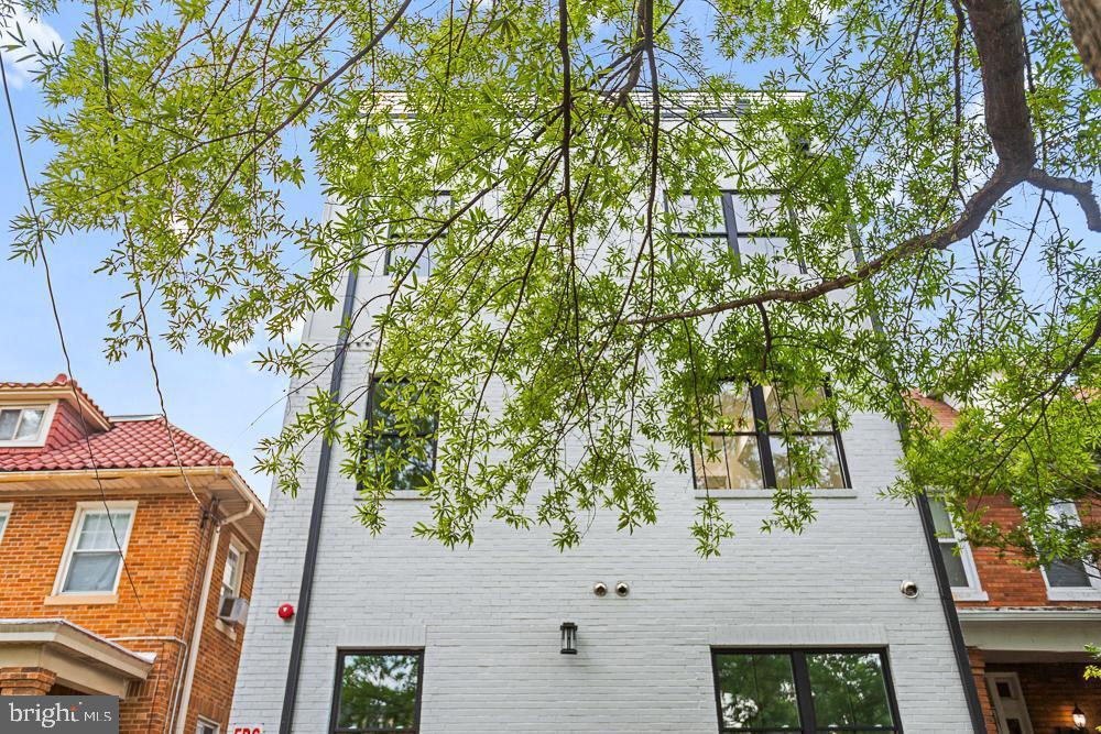 1109 NW FERN STREET NW 304