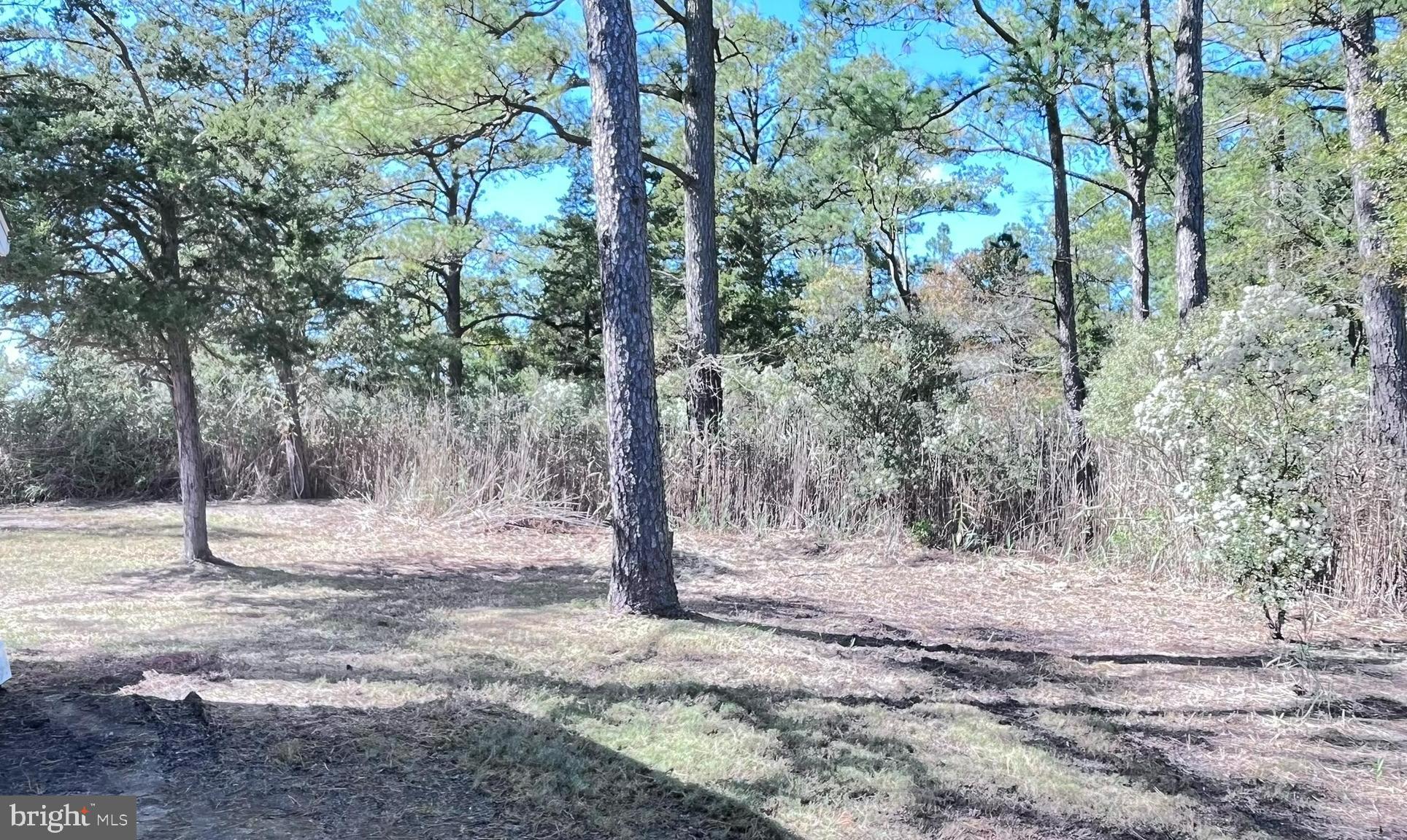 MADISON - Residential