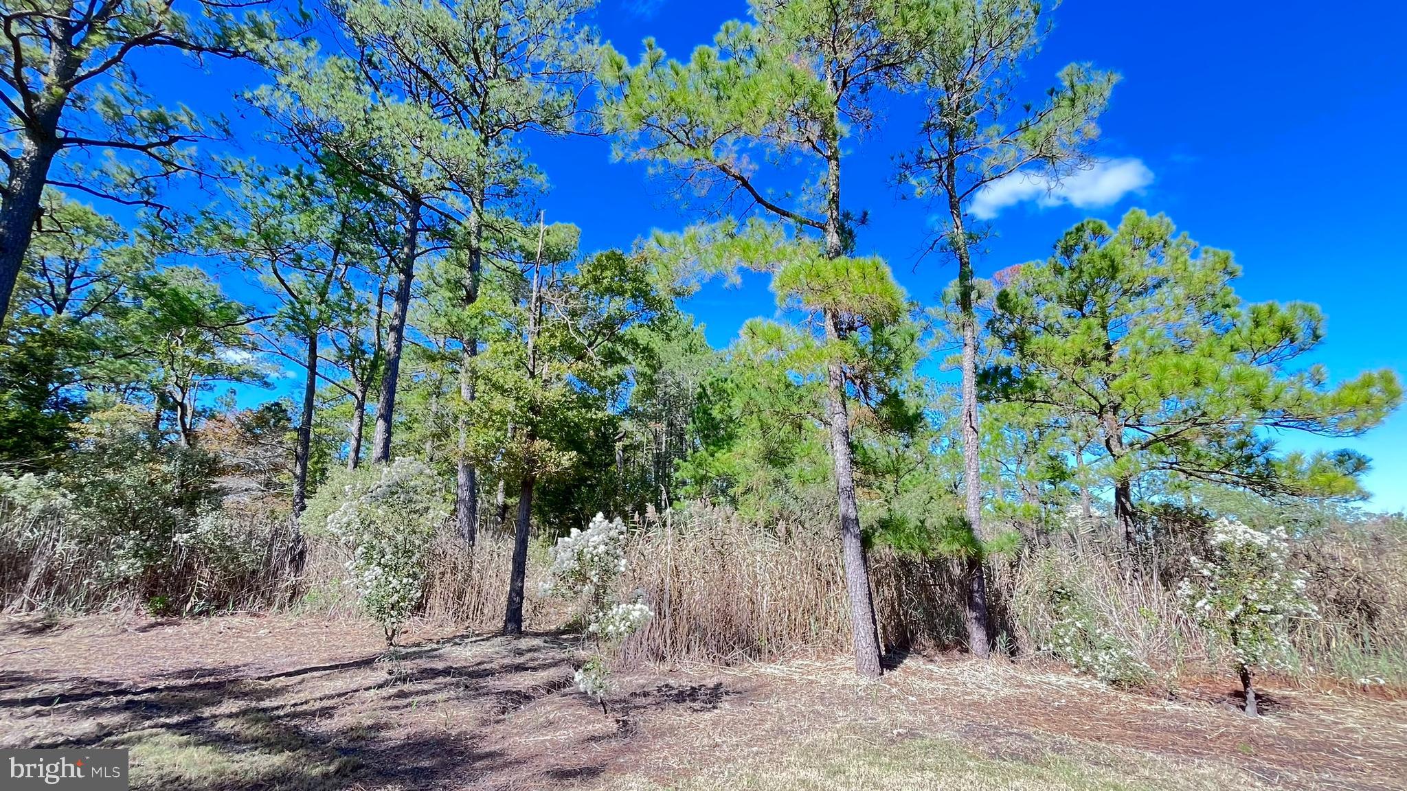 MADISON - Residential