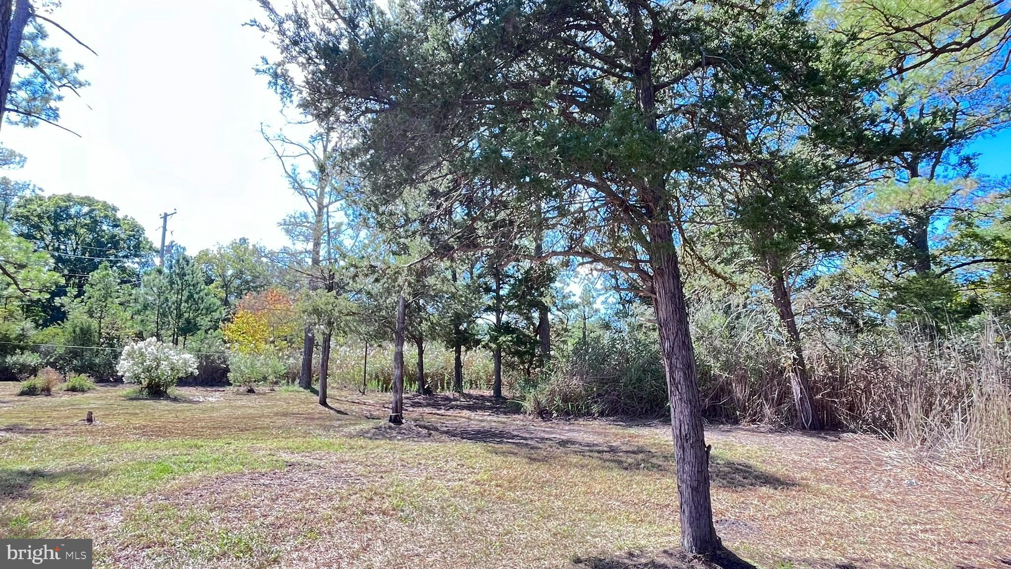 MADISON - Residential